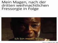 Mein Magen