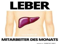 Mitarbeiter des Monats