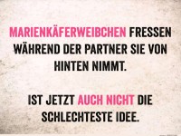 Marienk�ferweibchen