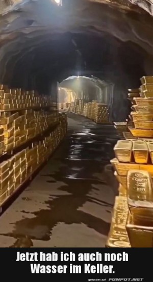 Wasser-im-Keller.jpg auf www.funpot.net