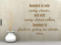 Der Blendende Spruch fr den Taschenpatriot