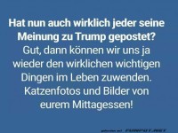 Zur�ck zu Katzen und Mittagessen!