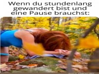 Wald-Pausen-Hingucker: Kurz mal schnarchen!