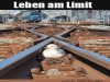 weiter