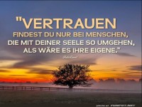Vertrauen findest du