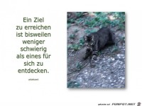 Ein Ziel zu erreichen