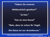 Wellensittich gesehen