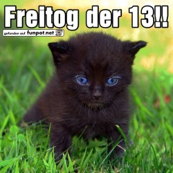 Freitog-der-13.jpg auf www.funpot.net