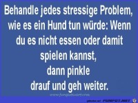 problembewltigung wie ein hund - tierische weisheit mit wuff