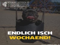 Bildle, bei dene jedr Schwob sagd: 