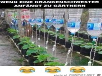 Wenn eine Krankenschwester das G�rtnern anf�ngt