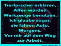 Tierforscher erkl�ren