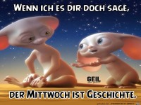 Wenn ich es dir sage