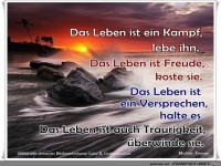 das Leben ist ein Kampf