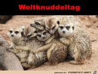 Weltknuddeltag
