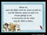 Weise ist