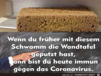 Tafelschwamm f�rs Immunsystem