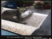 Es ist anders als es aussieht