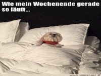 Gem�tlicher Sonntag