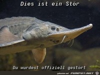 Du wurdest gest�rt