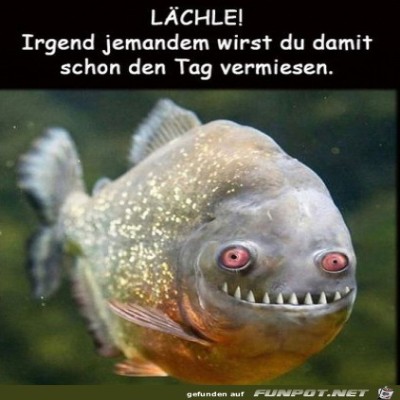 L&auml;chle.jpg von Cedric