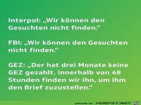 Die GEZ findet jeden