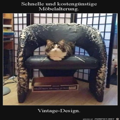 M&ouml;belalterung-leicht-gemacht.jpg von Thies