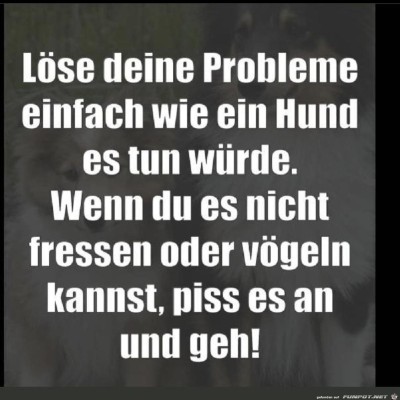 Probleme.jpg von Keule56