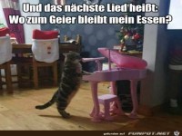 Das n�chste Lied