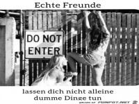 Echte Freunde