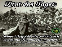 Zitat des Tages ber Baumwolltrume