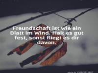 Freundschaft ist wie ein Blatt im Wind