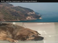 Fels oder Flauschball?