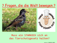 Mssen Starkche Tiergesetze beachten?