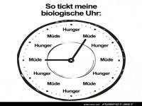 Biologische Uhr: Mde oder hungrig?