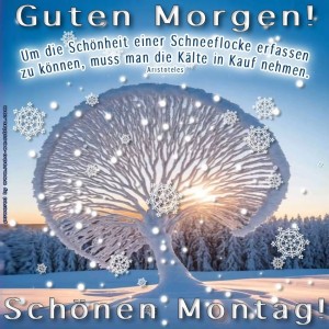 Montag.jpg von Justin