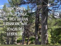Wald-Weisheit: Tu, was dich gl�cklich macht!