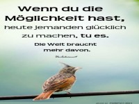 Vogel-Weisheit des Tages!