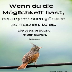Vogel-Weisheit-des-Tages!.jpg von Schwesterchen