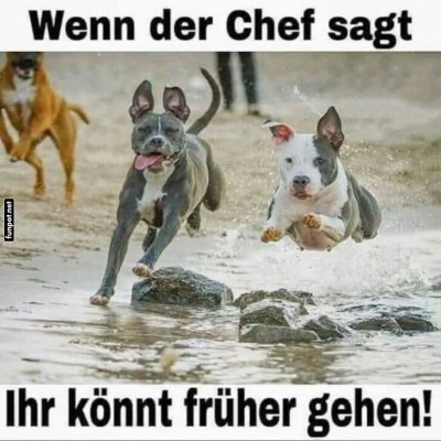 Chef-sagt:-Frühr-Feierabend!.jpg von Queen92