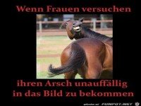 versuch