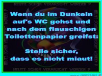 WC im Dunkeln aufsuchen