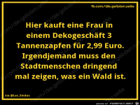 diegeilsten Tannenzapfen