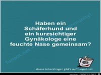 Scherzfrage