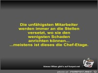 Die unf�higsten Mitarbeiter werden immer an die Stellen...