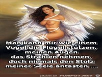 Man kann mir wie ein Vogel