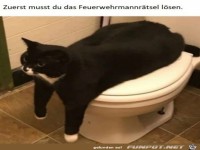 Erst wird ein R�tsel gel�st