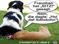 sitz oder St�ckchen