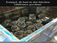 In dieser M�lltonne wohnen wir