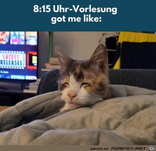 Zu-früh.jpg auf www.funpot.net